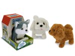 CANE ABBAIA CAMMINA E SCODINZOLA 68428