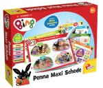 BING PENNA MAXI SCHEDE 100422