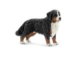 BOVARO BERNESE FEMM.FARM WORLD 16397