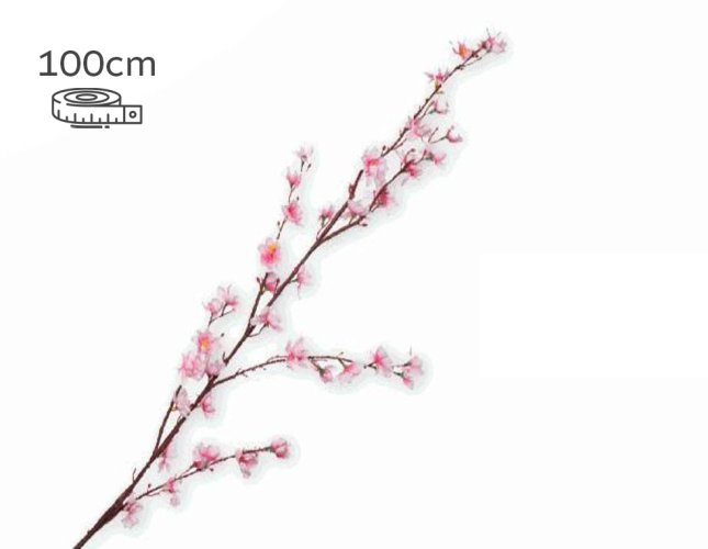 FIORE PESCO MEDIO ROSA 095141